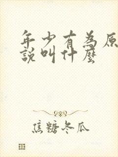 年少有为原著小说叫什么