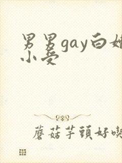 男男gay白嫩小受