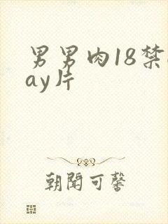 男男肉18禁gay片