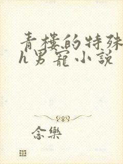 青楼的特殊调教h男宠小说