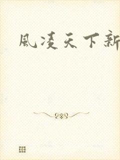 风凌天下新书
