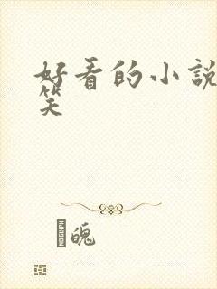 好看的小说 搞笑