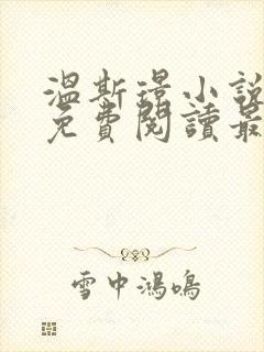 温斯璟小说全文免费阅读最新章节