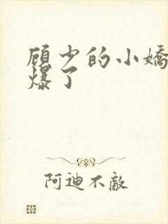 顾少的小娇妻飒爆了