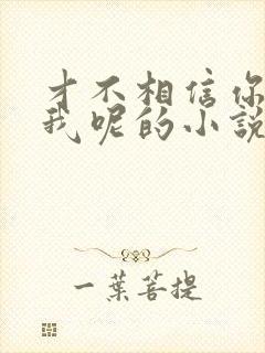 才不相信你暗恋我呢的小说