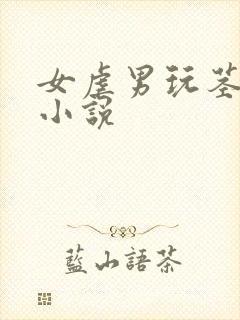 女虐男玩茎榨精小说