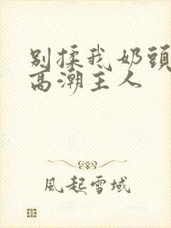 别揉我奶头嗯啊高潮主人