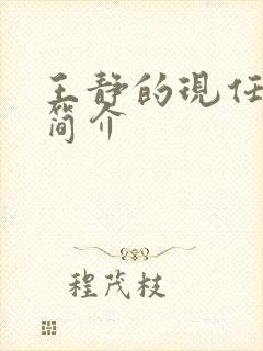 王静的现任丈夫简介封面