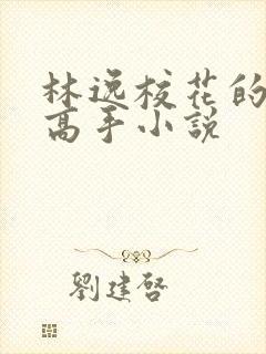 林逸校花的贴身高手小说