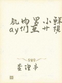 肌肉男小鲜肉gay们互艹视频