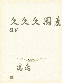 久久久国产一级av