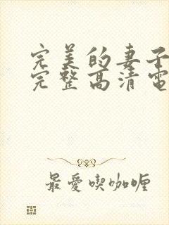 完美的妻子免费完整高清电视剧在线看封面