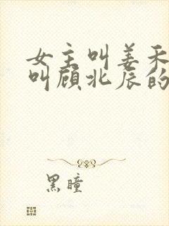 女主叫姜禾男主叫顾北辰的小说