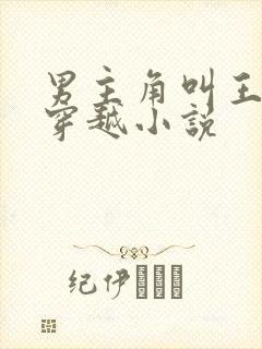 男主角叫王渊的穿越小说