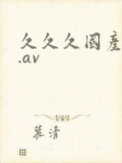 久久久国产精品.av