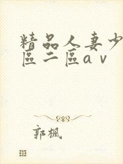 精品人妻少妇一区二区aⅴ