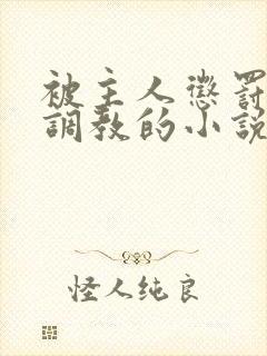 被主人惩罚玩弄调教的小说