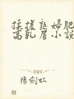 揉搓熟妇肥硕大高乳房小说