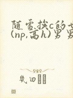 随处挨c的世界(np,高h)男男小说