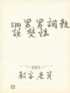 sm男男调教小说 双性封面