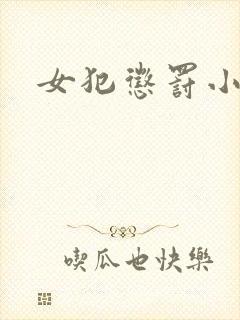 女犯惩罚小说