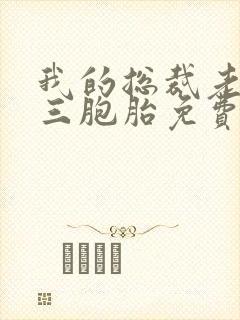 我的总裁老婆是三胞胎免费阅读