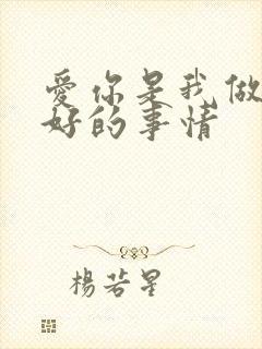 爱你是我做过最好的事情封面