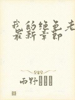 我的绝色老板娘最新章节封面