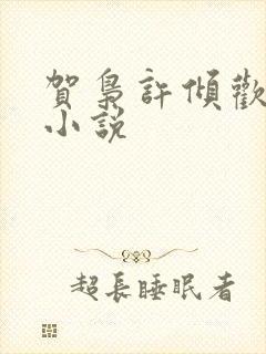 贺枭许倾欢原著小说