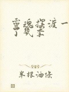 灵魂摆渡一共出了几季