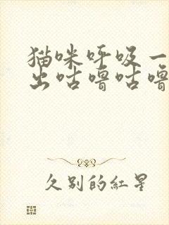 猫咪呼吸一直发出咕噜咕噜的声音