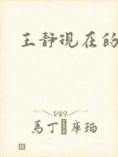 王静现在的丈夫