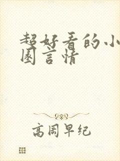 超好看的小说校园言情封面