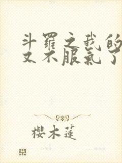 斗罗之我的系统又不服气了小说全文阅读