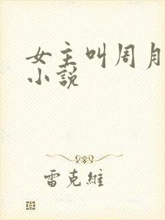 女主叫周月丫的小说