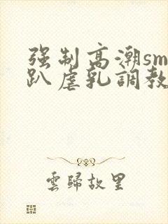 强制高潮sm跪趴虐乳调教小说