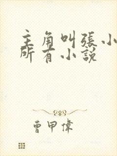 主角叫张小凡的所有小说封面