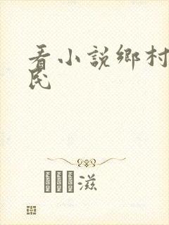 看小说乡村小农民