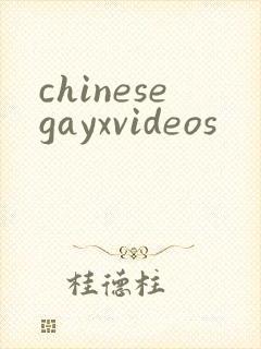 chinesegayxvideos