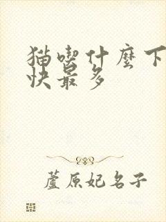 猫吃什么下奶最快最多