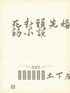 死对头先婚后爱的小说