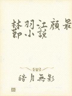 林羽江颜最新章节小说