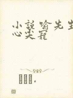 小说 喻先生的心尖宠