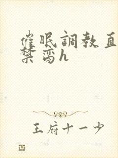 催眠调教直男成禁脔h封面