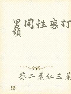 男同性恋打炮视频