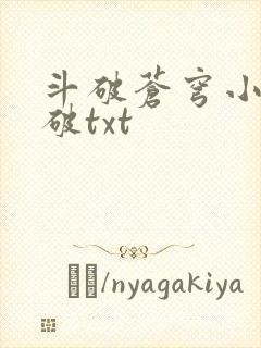 斗破苍穹小说斗破txt封面