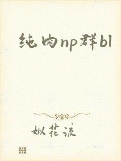纯肉np群bl