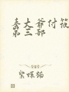 秦大爷付筱竹后第三部封面