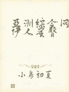 亚洲综合网久久伊人蜜臀