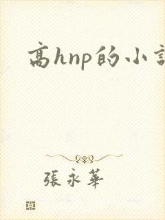 高hnp的小说